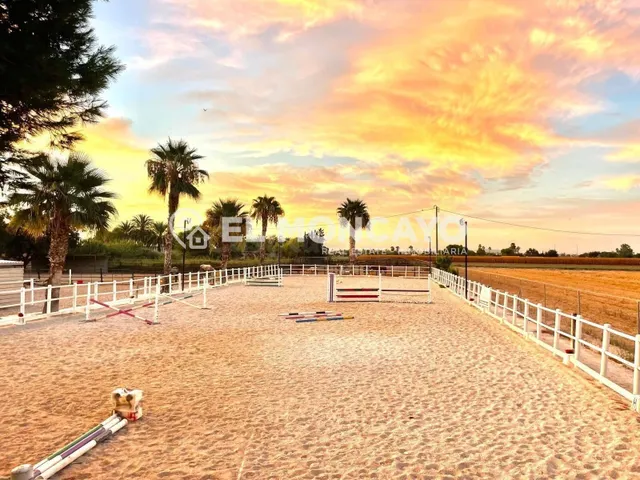 Fantástica finca rústica con piscina privada e instalaciones para caballos junto al Parc Natural del Fond en Dolores, Alicante — 4