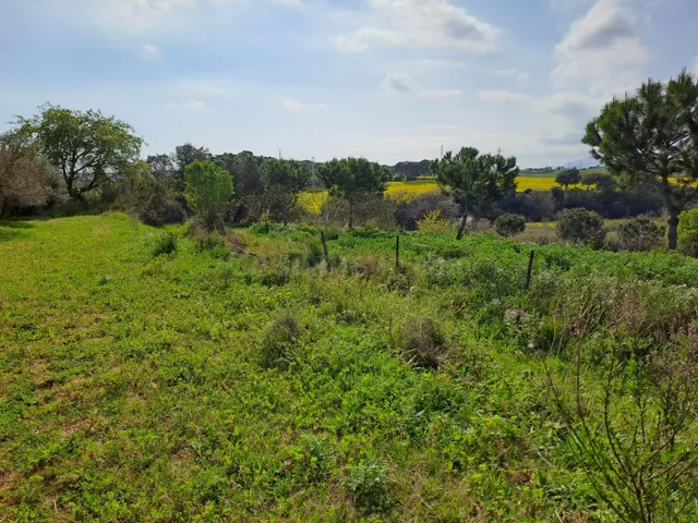 Terreno rural 13397m² en venta - Terrassa - foto 2