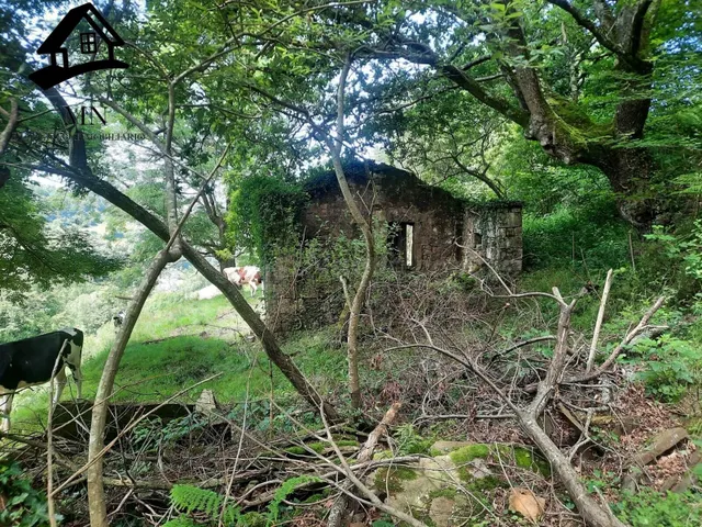 Cabaña tradicional de piedra con gran finca de 9.710 m2 en e - foto 2