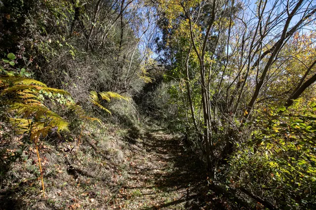 Cortijo La Jara – Un refugio de ensueño en La Alpujarra — 37