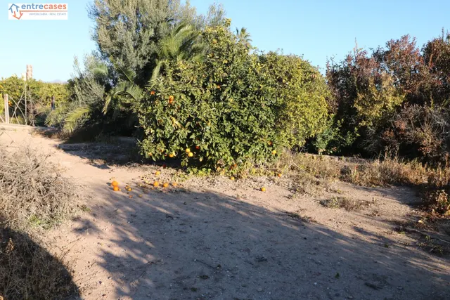 Conjunto de parcelas en Canet de Berenguer (zona gasolinera) — 10