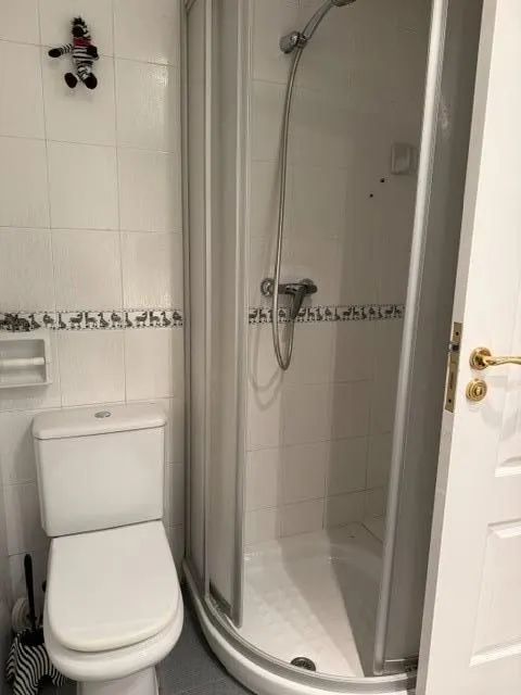 Alquiler de amplio piso en le centro, zona calle correos. — 14
