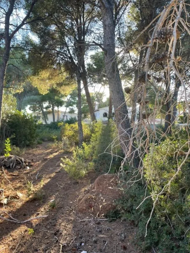 Parcela en Benissa costa