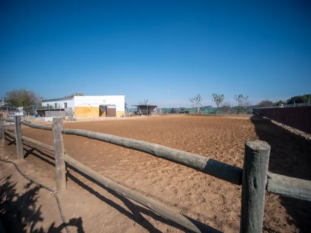 FINCA RÚSTICA CON ARBOLES FRUTALES Y CUADRA DE CABALLOS — 12