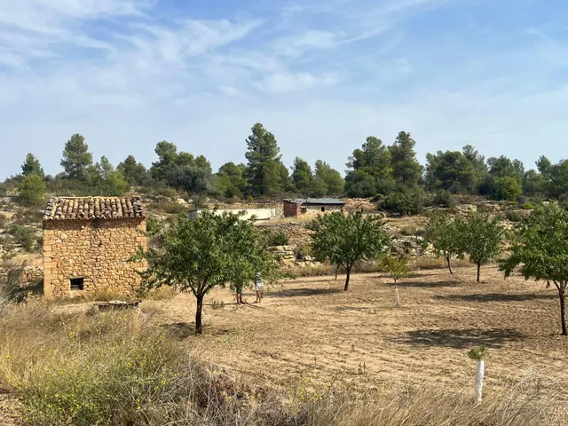 Finca con pozo productivo y maset en Valjunquera — 10