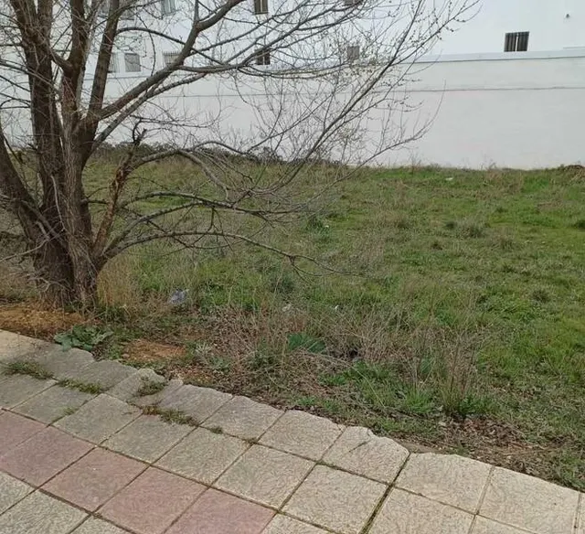 TERRENO URBANO EN LEON — 3