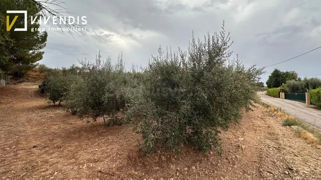Terreno en venta - partida canet — 2