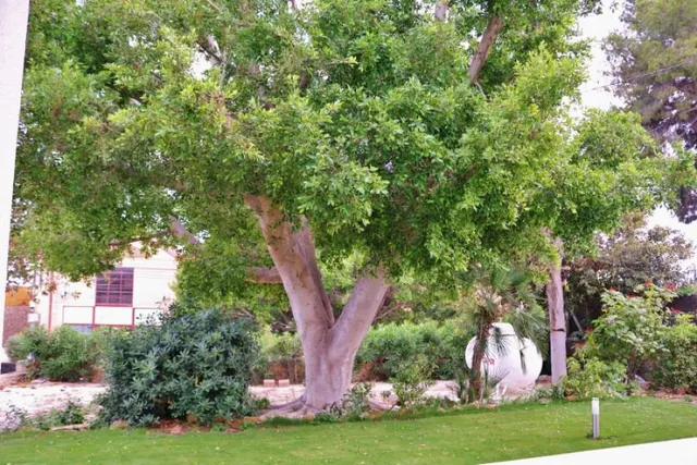 Chalet de Lujo a estrenar en Alicante. Oportunidad — 20