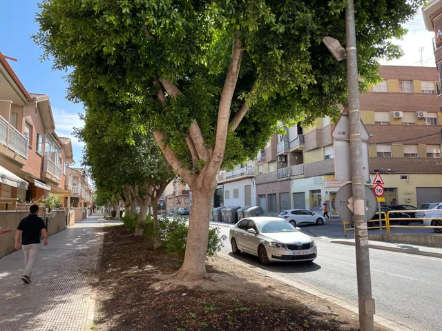 EXCELENTE PISO EN CABEZO DE TORRES - foto 2