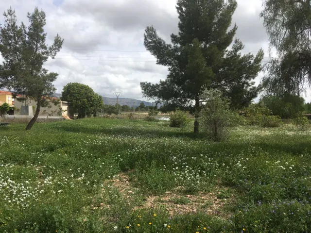 Terreno Urbano en el centro del pueblo de Ubeda — 13