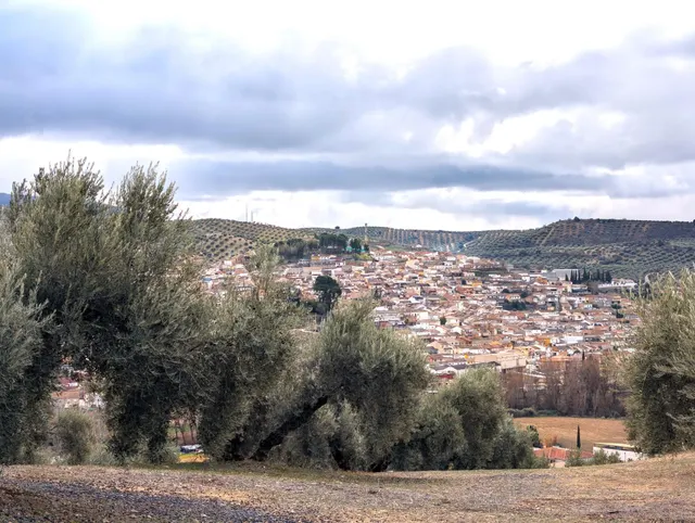 Terreno en Venta en Deifontes con proyecto de inversión - foto 4