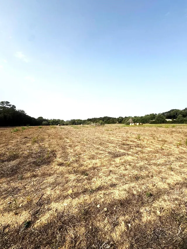 TERRENO RÚSTICO EN SINEU DE 21.300 M2 CON PROYECTO APROBADO  - foto 4