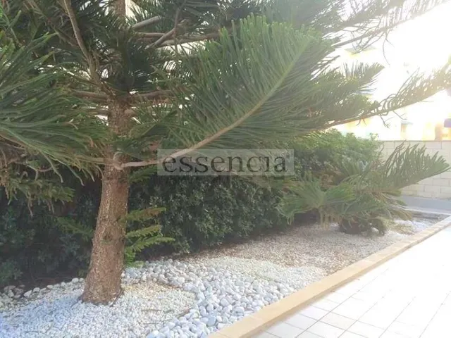 APARTAMENTO EN 1ERA. LINEA CON 110 M2 TERRAZA  EN  PLANTA BAJA . GARAJE, PISCINA COMUNITARIA Y TENIS — 19