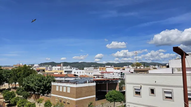 ✨ ¡Gran casa con cochera cerrada , llena de posibilidades! — 14