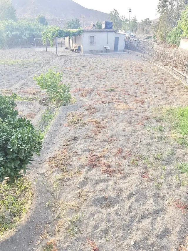 FINCA CON CORTIJO — 3