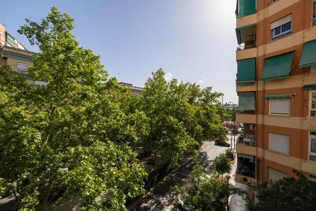 Amplio y luminoso piso de tres dormitorios con muy buenas vistas en avd don bosco — 24
