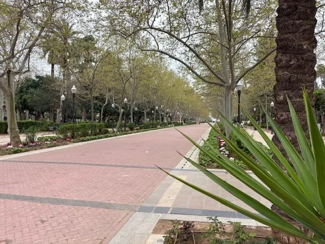 Piso con garaje y trastero en el paseo Ribalta de Castellón — 26