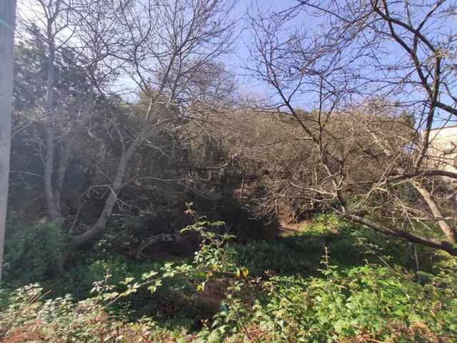 TERRENO EN LA OROTAVA, AGUAMANSA — 10