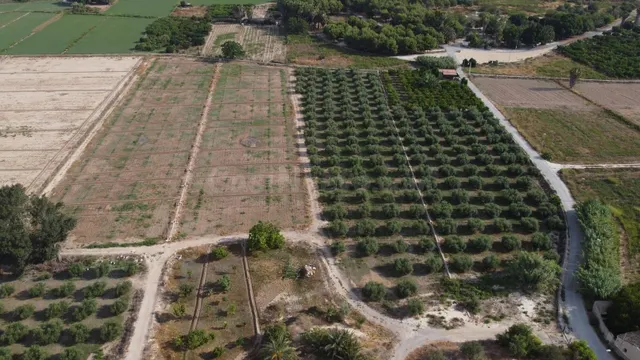✨ ¡EXCELENTE OPORTUNIDAD DE INVERSIÓN! PARCELA AGRARIA DE 24 - foto 4