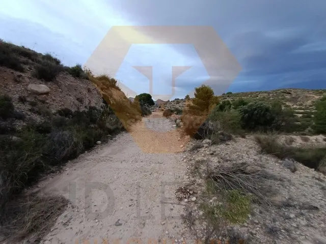 SE VENDE PARCELA EN MOLINA DE SEGURA - foto 5