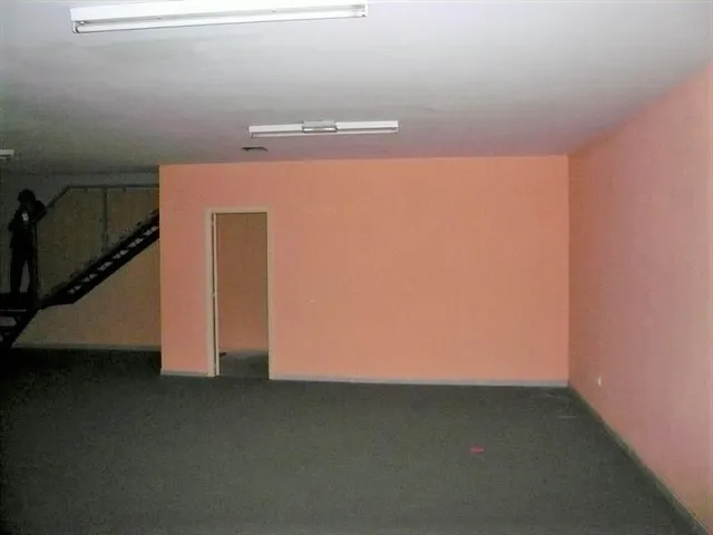 LOCAL COMERCIAL EN EL CENTRO DE LEÓN — 6