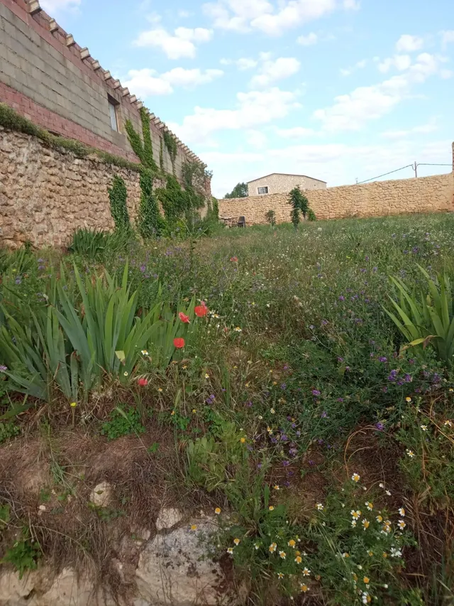 SE VENDE TERRENO URBANO EN CALAMOCHA — 6