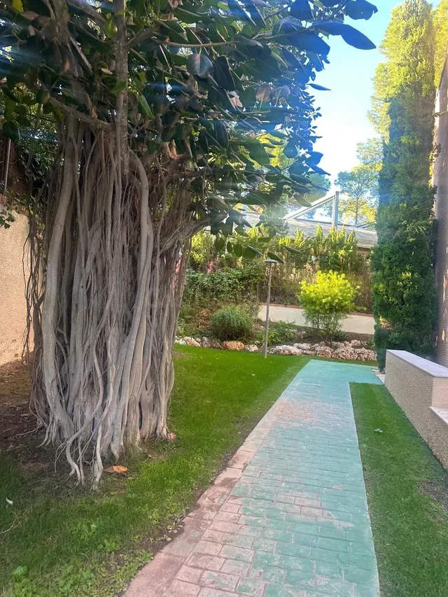 alquiler piso Campolivar - foto 2