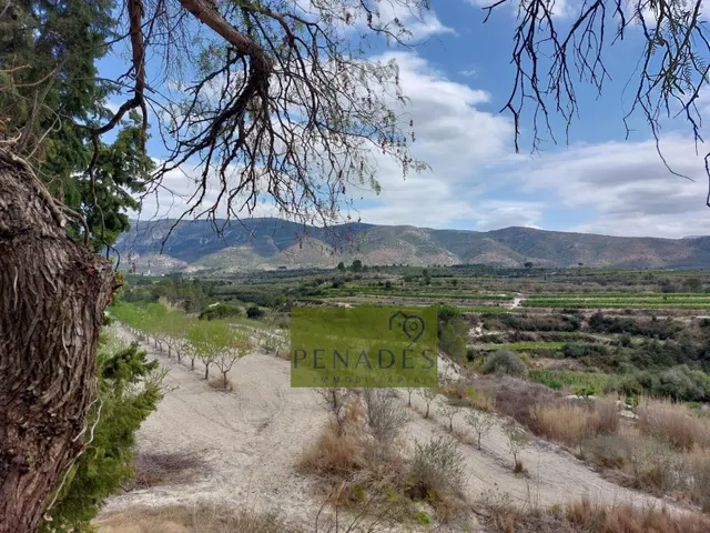 Espectacular Finca en Venta en Bèlgida — 42