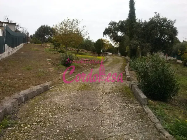 MAGNÍFICO TERRENO URBANO EN ALCOLEA — 7