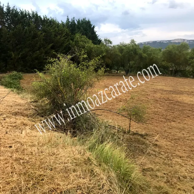 Parcelas urbanas en Arbeiza — 11