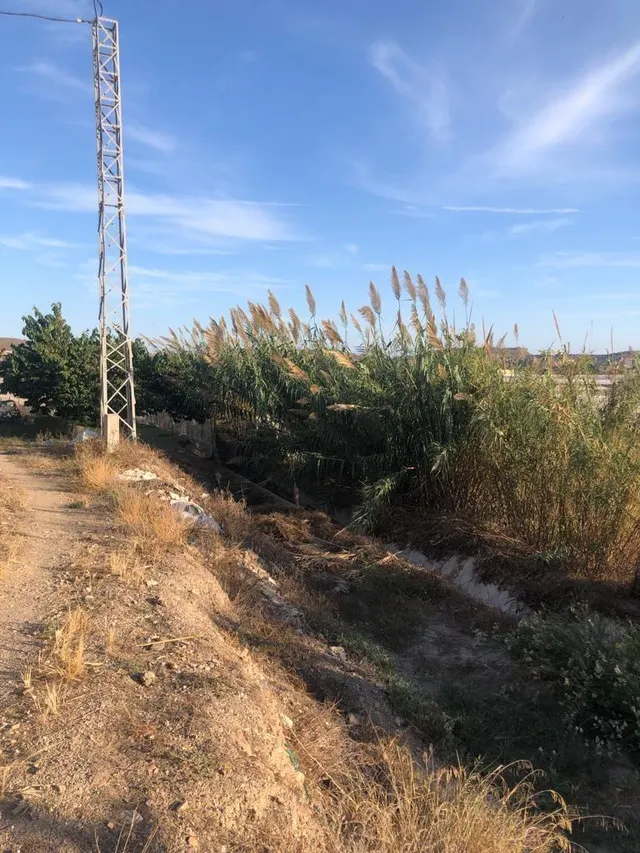 CASA EN RUINAS CON TERRENO — 5