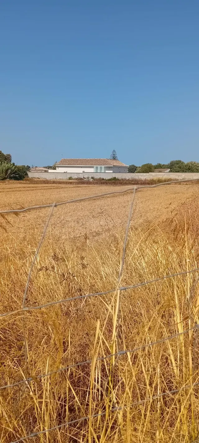 SE VENDE PARCELA EN CAMINO DEL ATUNERO, SEGREGADA - foto 4