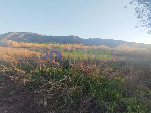 Casa de piedra con 61 hectáreas de terreno — 20