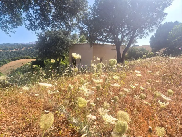 Tu refugio entre Vejer y el Atlántico — 2