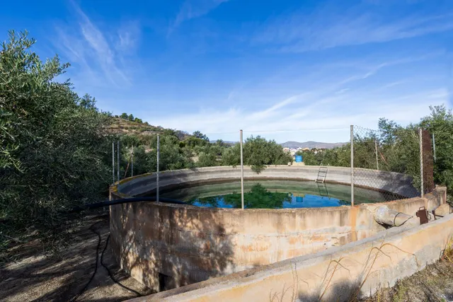¡Oportunidad única! Dos Fincas rústicas de mas de 15.000 m2 en total en Pinos del Valle. VENTA JUNTAS O SEPARADAS — 10