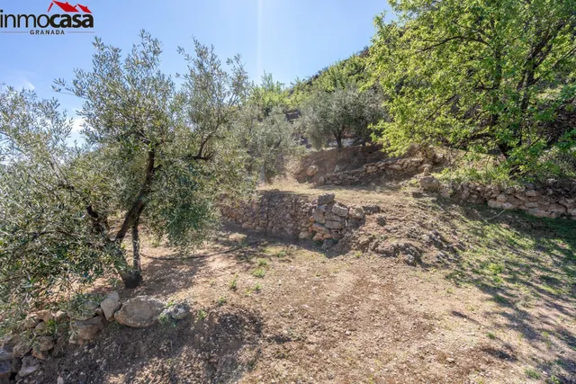 TERRENO EN PINOS DEL VALLE — 13