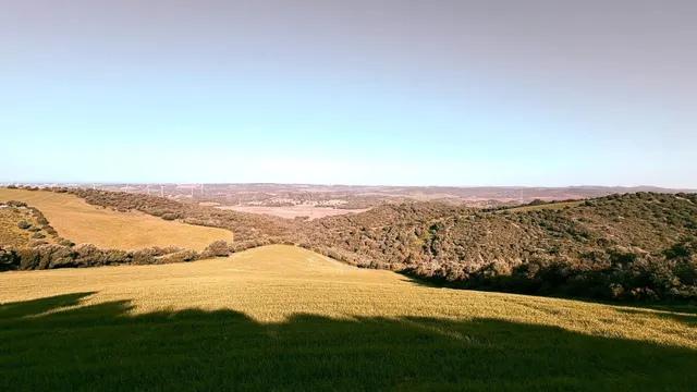 finca rústica en la zona de patria, Vejer de la frontera — 5