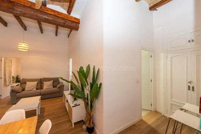 Fantastica Vivienda en Casco Antiguo de Alicante. — 4