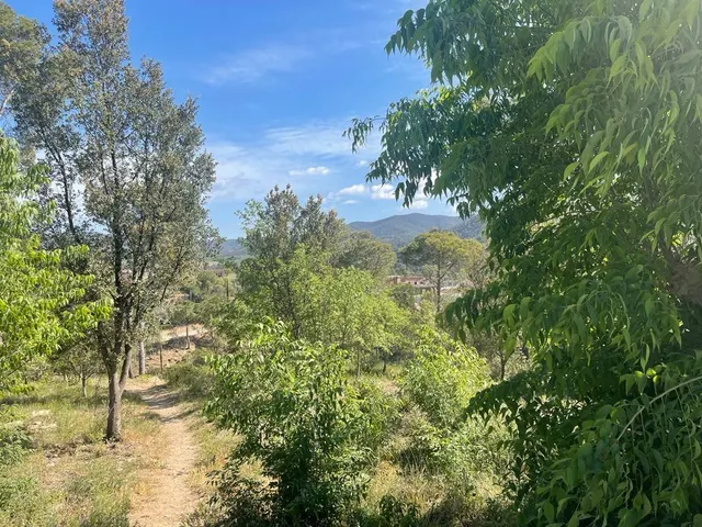 GRAN TERRENO EN CAL ANTON — 2