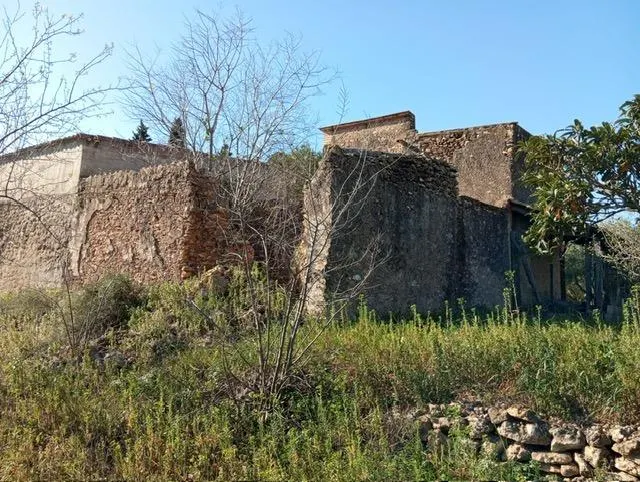 Encantador terreno con agua y luz de 1,2 ha — 3