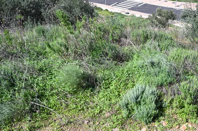 Terreno para villa en Mijas Golf con vistas panorámicas — 4