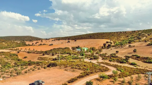 Venta de finca cinegética y agrícola en Ciudad Real - foto 5