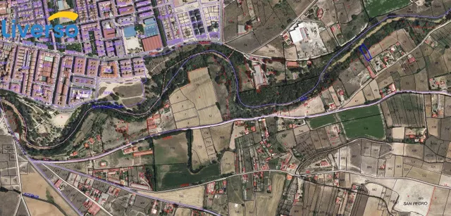 Oportunidad de Inversión: Terrenos de Regadío y Secano en Ar - foto 4