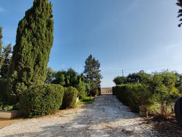 MAGNIFICA FINCA DE CAMPO CON DOS VIVIENDAS - foto 2