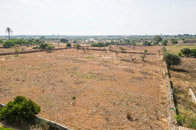 Finca rústica para construir en la carretera de s'Illot - Portocristo — 3
