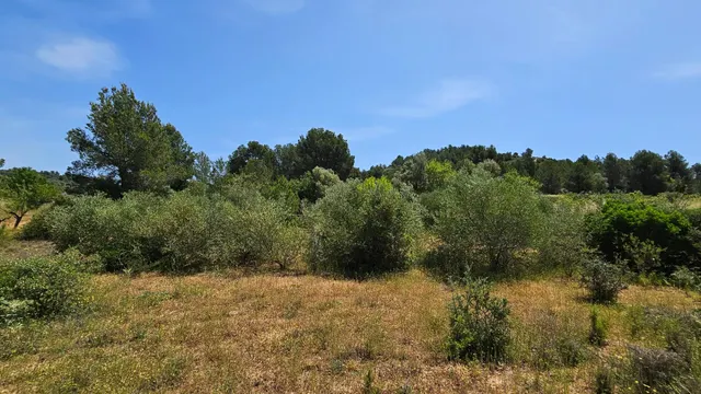 VENTA DE 3 PARCELAS AGRUPADAS CON POSIBILIDAD DE CONSTRUIR UNA VIVIENDA UNIFAMILIAR !! — 19