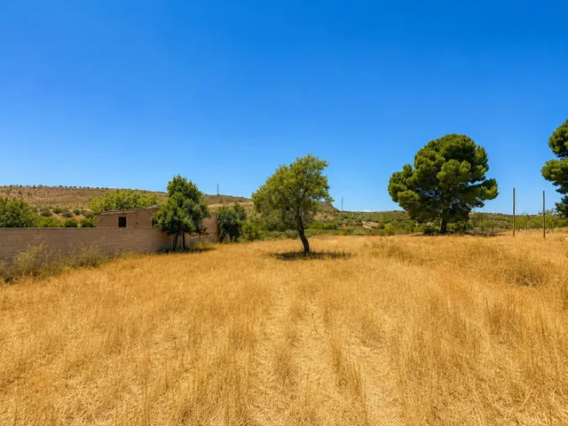 Magnifica finca rústica de 1.300 metros en El Arroyo de Padu - foto 4