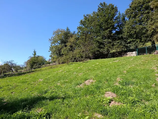 Terreno urbano en venta - Trubia — 18