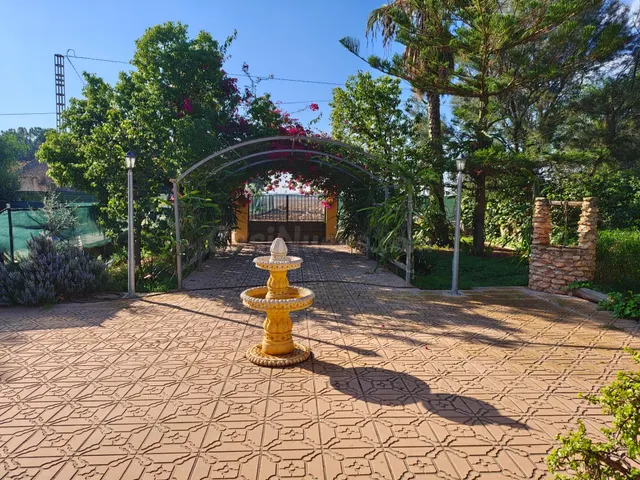 Finca Rústica con Chalet y Piscina en La Palma, Cartagena — 4