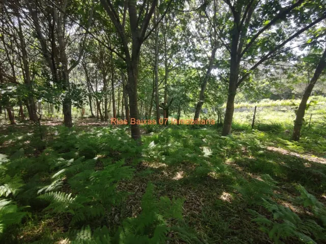 REF 2896 SOLAR 1500m2 CON PROYECTO Y LICENCIA ( MOS ) — 24